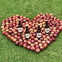 Loxtonia Cider image